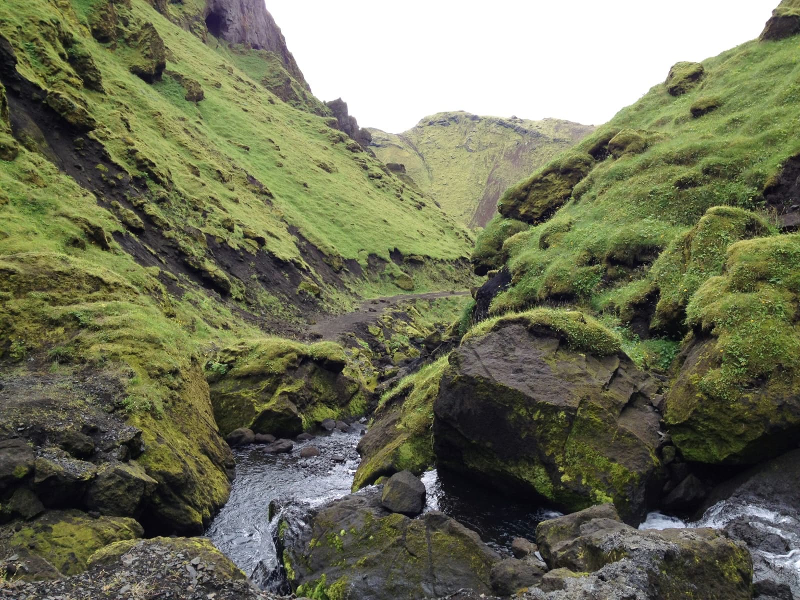 A lush ravine between two rocky hills, with water flowing between them, somewhat close up